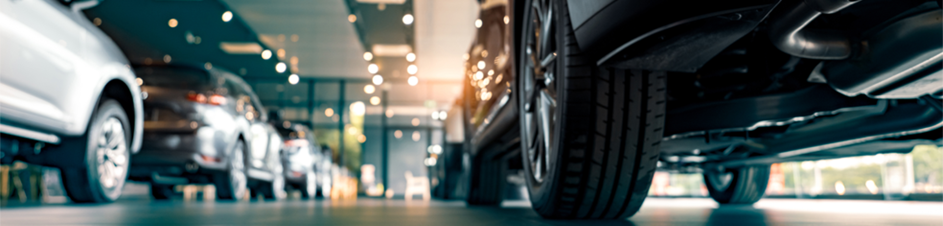 Dealership offering Real Garant warranties