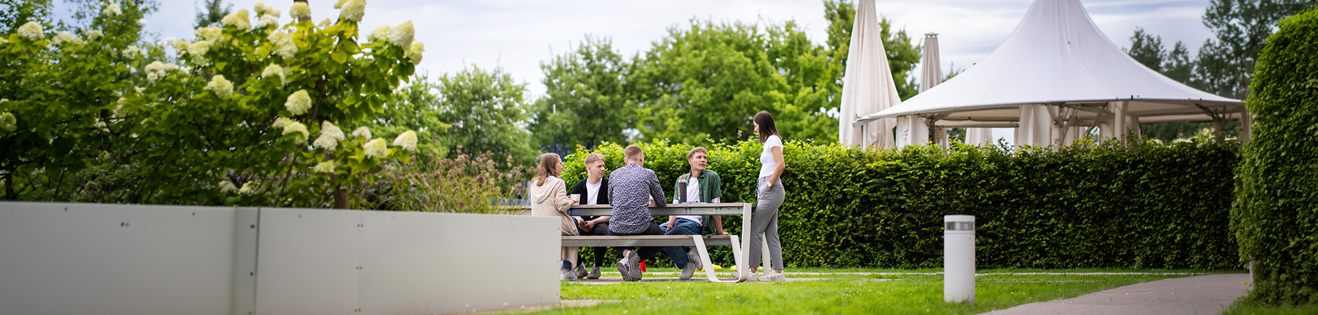 Real Garant employees meeting outside