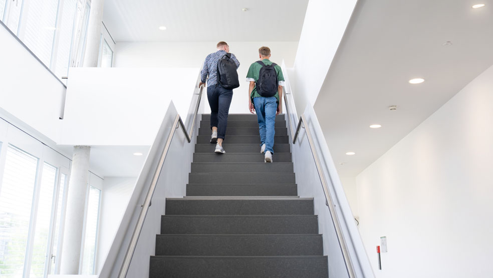 Real Garant employees going up the stairs
